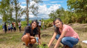 Habilitarán el primer bachillerato técnico forestal en San Pedro y Concepción 