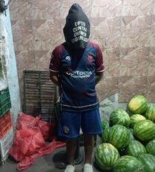 Mercado de abasto: No era sandía el negocio, era la droga