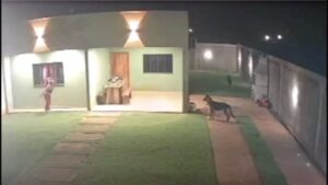 Pilló a malevos en su patio y se escapó por la ventana