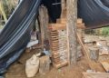Operdepaite: ¡Narcos cultivaban en reserva forestal!