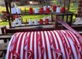 ¡La colección albirroja de Rossana Apodaca!