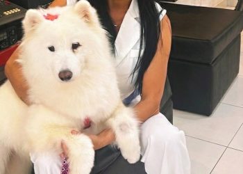 Vuelve el calendario de los jagua`i “12 meses para cambiar historias” para la castración de perros y gatos