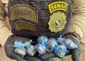 ¡Cayó el imperio del vicio! Senad puso fin a las andanzas de la “Reina del chespi”