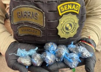 ¡Cayó el imperio del vicio! Senad puso fin a las andanzas de la “Reina del chespi”